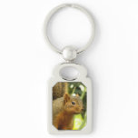 Portrait of a Squirrel Nature Animal Photography Keychain