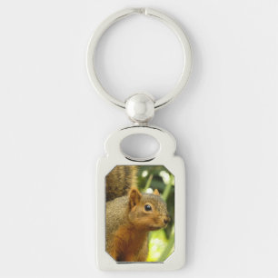 Portrait of a Squirrel Nature Animal Photography Keychain