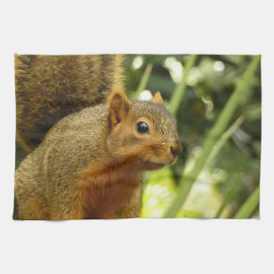 Portrait of a Squirrel Nature Animal Photography Kitchen Towel