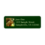 Portrait of a Squirrel Nature Animal Photography Label