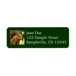 Portrait of a Squirrel Nature Animal Photography Label