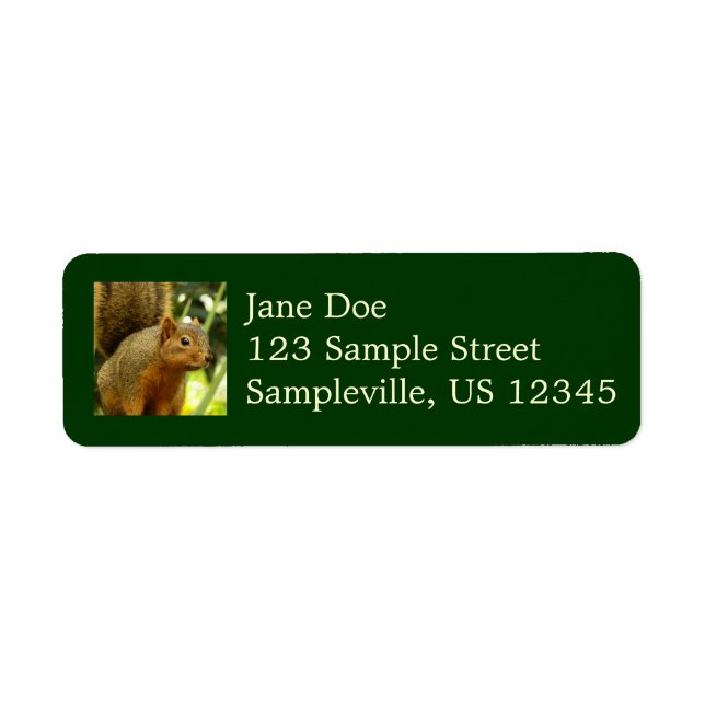 Portrait of a Squirrel Nature Animal Photography Label (Front)