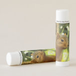 Portrait of a Squirrel Nature Animal Photography Lip Balm