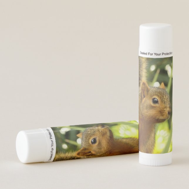 Portrait of a Squirrel Nature Animal Photography Lip Balm (Front)