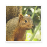 Portrait of a Squirrel Nature Animal Photography Napkins