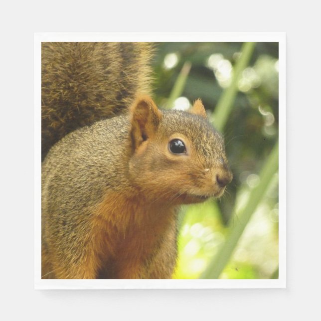 Portrait of a Squirrel Nature Animal Photography Napkins (Front)