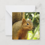 Portrait of a Squirrel Nature Animal Photography Note Card
