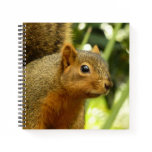 Portrait of a Squirrel Nature Animal Photography Notebook