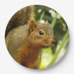 Portrait of a Squirrel Nature Animal Photography Paper Plates