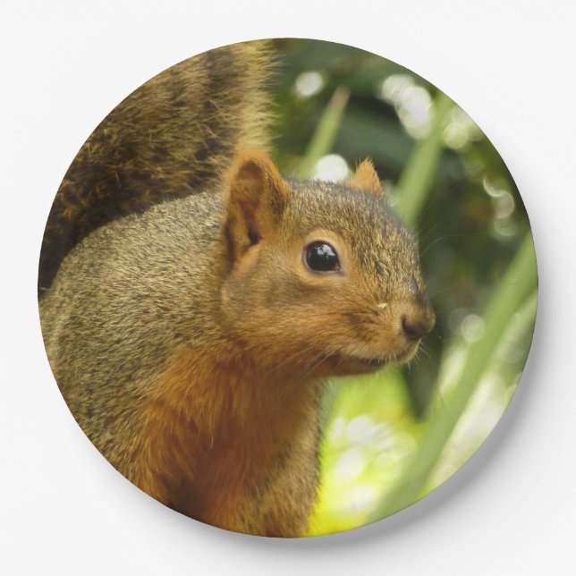 Portrait of a Squirrel Nature Animal Photography Paper Plates (Front)