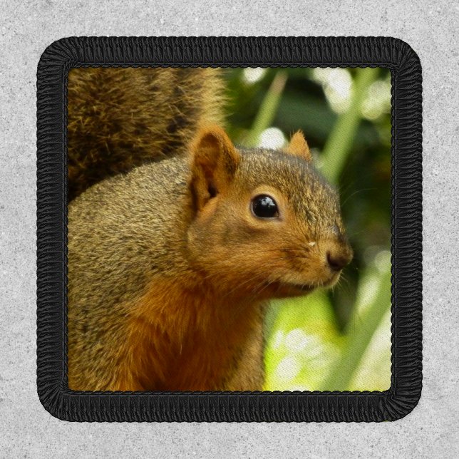 Portrait of a Squirrel Nature Animal Photography Patch (Front)
