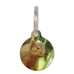 Portrait of a Squirrel Nature Animal Photography Pet ID Tag