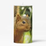 Portrait of a Squirrel Nature Animal Photography Pillar Candle
