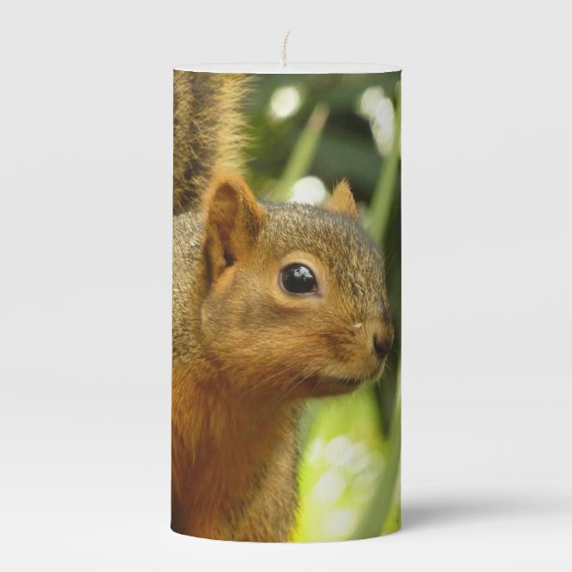 Portrait of a Squirrel Nature Animal Photography Pillar Candle (Front)