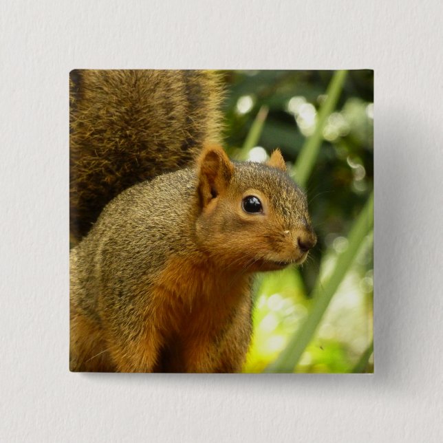 Portrait of a Squirrel Nature Animal Photography Pinback Button (Front)