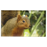 Portrait of a Squirrel Nature Animal Photography Place Card Holder