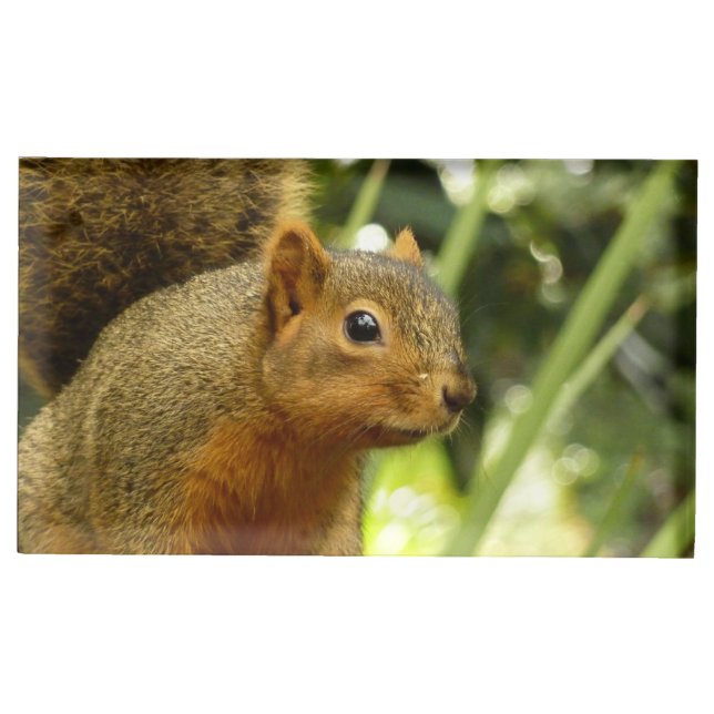Portrait of a Squirrel Nature Animal Photography Place Card Holder (Front)