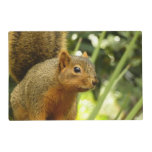 Portrait of a Squirrel Nature Animal Photography Placemat