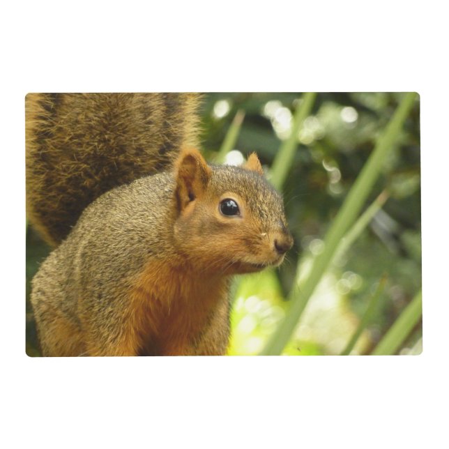 Portrait of a Squirrel Nature Animal Photography Placemat (Front)