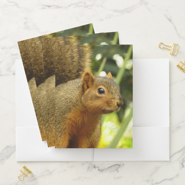 Portrait of a Squirrel Nature Animal Photography Pocket Folder (In Situ)