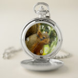 Portrait of a Squirrel Nature Animal Photography Pocket Watch