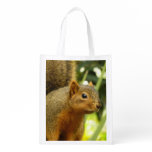 Portrait of a Squirrel Nature Animal Photography Reusable Grocery Bag