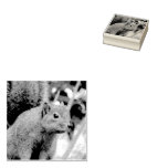 Portrait of a Squirrel Nature Animal Photography Rubber Stamp