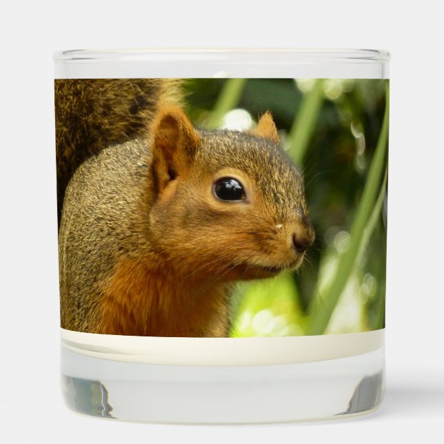 Portrait of a Squirrel Nature Animal Photography Scented Candle (Front)