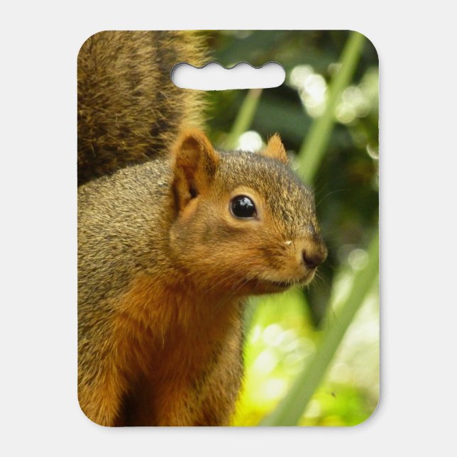 Portrait of a Squirrel Nature Animal Photography Seat Cushion (Front Vertical)