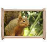 Portrait of a Squirrel Nature Animal Photography Serving Tray