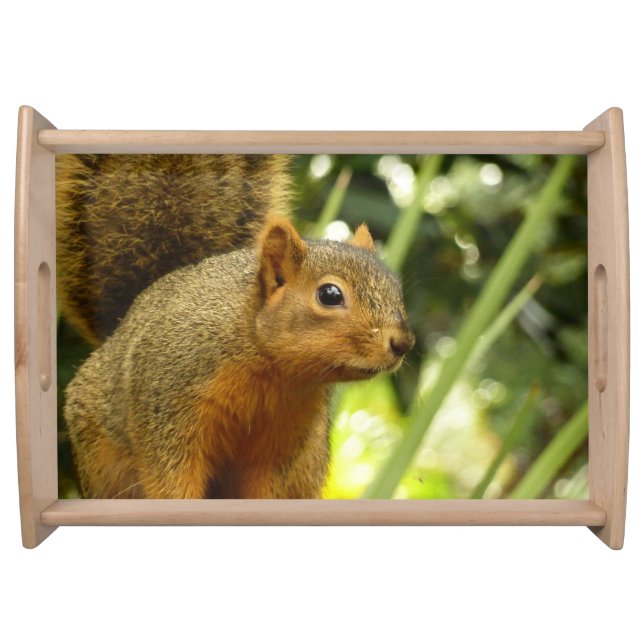Portrait of a Squirrel Nature Animal Photography Serving Tray (Front)