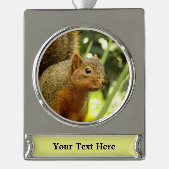 Portrait of a Squirrel Nature Animal Photography Silver Plated Banner Ornament (Front)