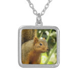 Portrait of a Squirrel Nature Animal Photography Silver Plated Necklace