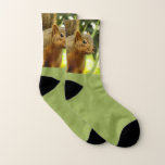 Portrait of a Squirrel Nature Animal Photography Socks