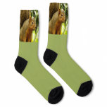 Portrait of a Squirrel Nature Animal Photography Socks
