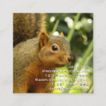 Portrait of a Squirrel Nature Animal Photography Square Business Card