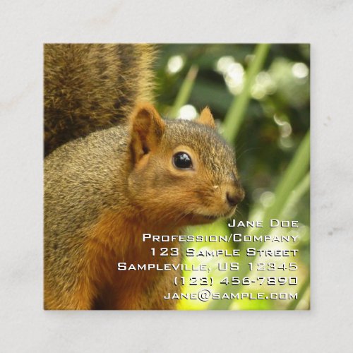 Portrait of a Squirrel Nature Animal Photography Square Business Card
