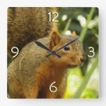 Portrait of a Squirrel Nature Animal Photography Square Wall Clock