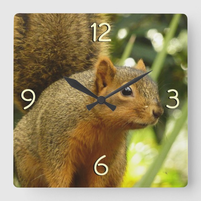 Portrait of a Squirrel Nature Animal Photography Square Wall Clock (Front)