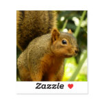 Portrait of a Squirrel Nature Animal Photography Sticker
