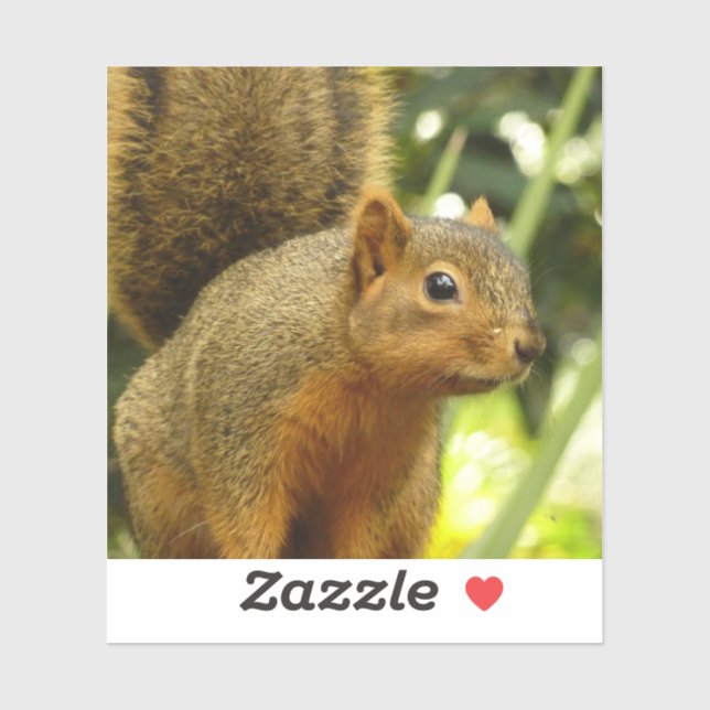Portrait of a Squirrel Nature Animal Photography Sticker (Sheet)