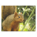 Portrait of a Squirrel Nature Animal Photography Tissue Paper