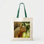 Portrait of a Squirrel Nature Animal Photography Tote Bag