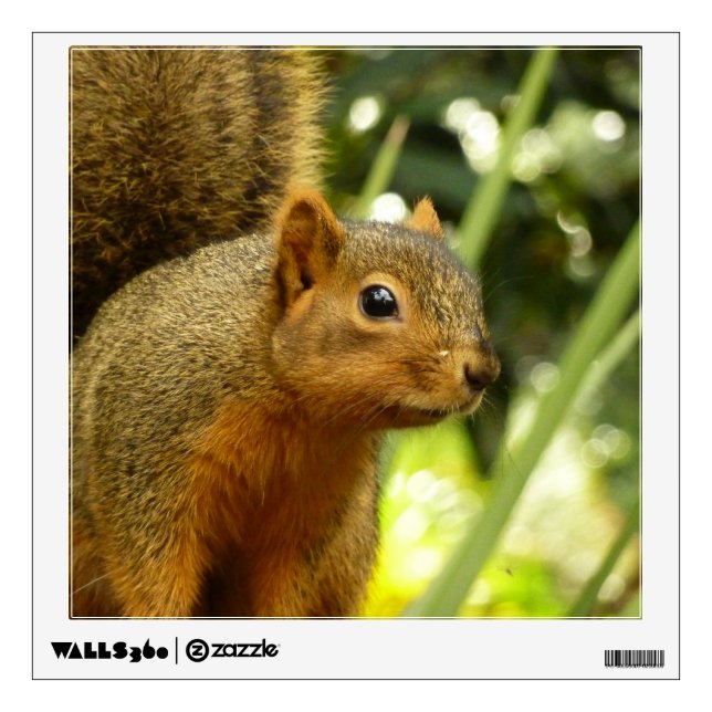 Portrait of a Squirrel Nature Animal Photography Wall Decal (Front)