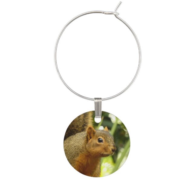 Portrait of a Squirrel Nature Animal Photography Wine Charm (Front)