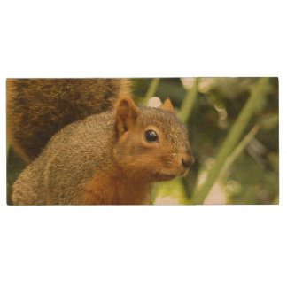 Portrait of a Squirrel Nature Animal Photography Wood Flash Drive