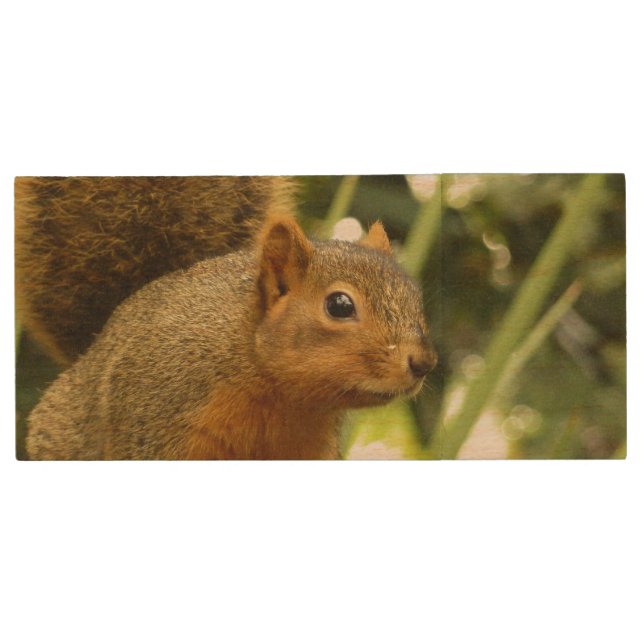 Portrait of a Squirrel Nature Animal Photography Wood Flash Drive (Front)