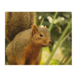 Portrait of a Squirrel Nature Animal Photography Wood Wall Decor