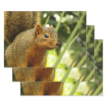 Portrait of a Squirrel Nature Animal Photography Wrapping Paper Sheets