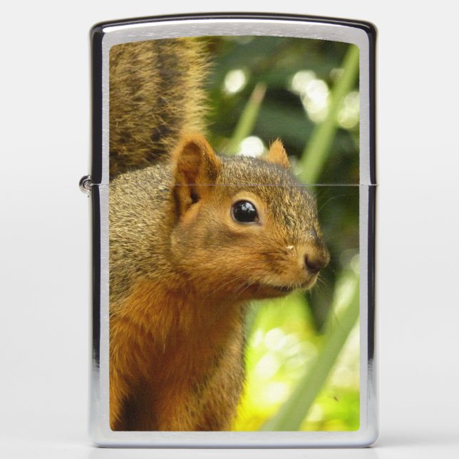 Portrait of a Squirrel Nature Animal Photography Zippo Lighter (Front)